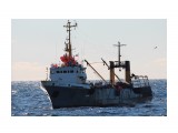 ЖОНКИЕР.  
Фотограф: 7388PetVladVik

Просмотров: 5004
Комментариев: 0