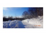 DSC08432

Просмотров: 221
Комментариев: 0