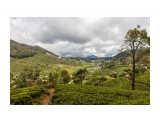 Название: Чайные плантации
Фотоальбом: Шри-Ланка
Категория: Туризм, путешествия

Просмотров: 435
Комментариев: 0