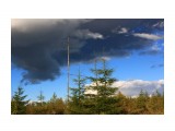 Контраст
Фотограф: vikirin

Просмотров: 2060
Комментариев: 0