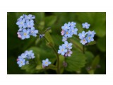 IMG_4279

Просмотров: 1929
Комментариев: 3