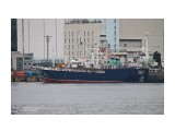АЛТЫН.   (Бывший  SPECTRUM 2,    KAGAWA  MARU.    IMO  9185114,  MMSI  273218310,  CS  UBAT4).   Порт  Пусан.
Фотограф: 7388PetVladVik

Просмотров: 3683
Комментариев: 0