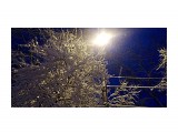 Однажды весной в 6 утра.. пошел снег..
Фотограф: vikirin

Просмотров: 2175
Комментариев: 0