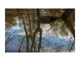 Весеннее отражение...
Фотограф: vikirin

Просмотров: 2095
Комментариев: 0