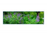 2e0f1f82-5d6e-41f1-924a-4ba1b3ff52b0

Просмотров: 333
Комментариев: 0