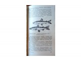 Название: 3
Фотоальбом: Книга о водоёмах Сахалина 1960 г.
Категория: Разное
Фотограф: Олег А.

Просмотров: 332
Комментариев: 0