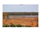 Заливчик
Фотограф: vikirin

Просмотров: 1096
Комментариев: 0