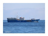 ГЕПАРД.   (Бывший STARLING,   SHOKO MARU No18,   ITO MARU No.58,  SHOKO No.18).   (IMO  9125528,  MMSI  273413270,   CS  UBUQ4).   Татарский пролив.
Фотограф: 7388PetVladVik

Просмотров: 1035
Комментариев: 0