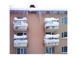 В снегу...
Фотограф: vikirin

Просмотров: 4011
Комментариев: 0