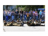 (2)
Фотограф: д_а_в

Просмотров: 3342
Комментариев: 0