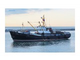 БАТАЙСК.
Фотограф: 7388PetVladVik

Просмотров: 4604
Комментариев: 0