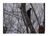 DSC09512

Просмотров: 783
Комментариев: 0