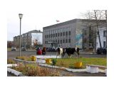 9

Просмотров: 7514
Комментариев: 4