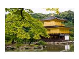 Название: сады киото
Фотоальбом: JAPAN | KIOTO
Категория: Туризм, путешествия
Фотограф: © marka

Просмотров: 1230
Комментариев: 0
