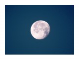 Название: Луна на рассвете
Фотоальбом: ОБЛАКА.. ЛУНА.. ЗАКАТЫ..
Категория: Природа
Фотограф: vikirin

Время съемки/редактирования: 2010:12:02 22:45:00
Фотокамера: Canon - Canon EOS Kiss X3
Диафрагма: f/5.6
Выдержка: 1/250
Фокусное расстояние: 250/1
Светочуствительность: 125


Просмотров: 4267
Комментариев: 0