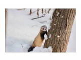 Круз
Фотограф: Tsygankov Yuriy

Просмотров: 744
Комментариев: 0