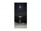 Сегодня. Ночь. Море. Луна. Лунная дорожка...

Просмотров: 509
Комментариев: 0