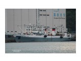 АДМИРАЛ  КОЛЧАК.  (Бывший  АКРОС,  IMO  9076208,  MMSI  273845900).
Фотограф: 7388PetVladVik

Просмотров: 3142
Комментариев: 0