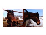 MyCollages-1

Просмотров: 576
Комментариев: 0