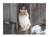 Название: соседский кот
Фотоальбом: ЖИВОТНЫЕ
Категория: Животные

Время съемки/редактирования: 2016:02:13 19:25:23
Фотокамера: SONY - DSC-W320
Диафрагма: f/5.7
Выдержка: 10/2500
Фокусное расстояние: 1880/100



Просмотров: 605
Комментариев: 1