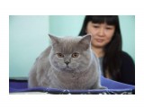 Название: 21
Фотоальбом: выставка Осенний блюз 2011
Категория: Животные

Время съемки/редактирования: 2011:11:06 18:12:32
Фотокамера: Canon - Canon EOS 50D
Диафрагма: f/5.6
Выдержка: 1/80
Фокусное расстояние: 85/1
Светочуствительность: 640


Просмотров: 405
Комментариев: 1