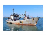 ЦЕНТАВР.   (Бывший  ПТР-0082,   IMO   8836948,  CS  UHQO).   Порт  Невельск.
Фотограф: 7388PetVladVik

Просмотров: 3342
Комментариев: 0