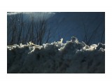 Север.Весенние дороги
Фотограф: vikirin

Просмотров: 983
Комментариев: 0