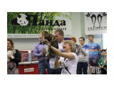 Название: IMG_6352
Фотоальбом: Выставка КЛК " АВАНТАЖ" 1-2 марта 2014г
Категория: Животные

Просмотров: 237
Комментариев: 0