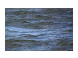 Вода в проливчике неспокойная..
Фотограф: vikirin

Просмотров: 2709
Комментариев: 0