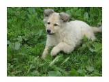 IMG_1226

Просмотров: 474
Комментариев: 