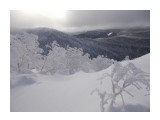 DSCN0200