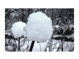 Снежные заряды..
Фотограф: vikirin

Просмотров: 3402
Комментариев: 0