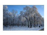 015

Просмотров: 177
Комментариев: 