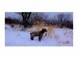 DSC09885

Просмотров: 600
Комментариев: 0
