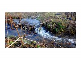 DSC08834
Едва заметный ручеёк посло циклона.

Просмотров: 335
Комментариев: 0