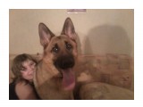 Название: Белочка и доча 
Фотоальбом: Разное
Категория: Разное

Время съемки/редактирования: 2011:01:11 19:59:03
Фотокамера: Samsung - GT-S3650
Диафрагма: f/2.7
Выдержка: 120/1000
Фокусное расстояние: 2795/1024


Описание: Моя семья)

Просмотров: 1999
Комментариев: 6