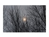 Под
Фотограф: vikirin

Просмотров: 1047
Комментариев: 0