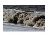 Название: Вечный двигатель
Фотоальбом: 2013 09 У моря... Чайки...
Категория: Природа
Фотограф: vikirin

Время съемки/редактирования: 2013:09:02 12:48:02
Фотокамера: Canon - Canon EOS Kiss X3
Диафрагма: f/16.0
Выдержка: 1/2000
Фокусное расстояние: 250/1



Просмотров: 1567
Комментариев: 0