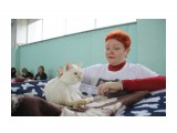 Название: IMG_3706
Фотоальбом: Выставка кошек 10.06.2012
Категория: Разное

Время съемки/редактирования: 2012:06:10 19:02:54
Фотокамера: Canon - Canon EOS 1100D
Диафрагма: f/3.5
Выдержка: 1/30
Фокусное расстояние: 18/1



Просмотров: 490
Комментариев: 0