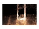 Ночные сьемки с фонарем
Фотограф: vikirin

Просмотров: 1143
Комментариев: 0