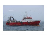 АЛЕКСАНДРИТ.  (ИМО 8410990).
Фотограф: 7388PetVladVik

Просмотров: 4730
Комментариев: 0