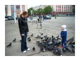 Голуби на площади-тема вечная
Фотограф: vikirin

Просмотров: 3077
Комментариев: 0