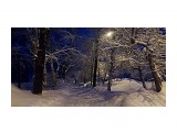 Однажды весной в 6 утра.. пошел снег..
Фотограф: vikirin

Просмотров: 2093
Комментариев: 0