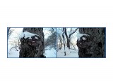 MyCollages

Просмотров: 316
Комментариев: 0