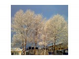 Первый снег 29 октября.. Пушистое утро
Фотограф: vikirin

Просмотров: 3183
Комментариев: 0