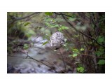 :)

Просмотров: 157
Комментариев: 0