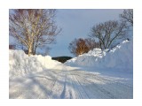 К устью...

Просмотров: 896
Комментариев: 0