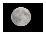 Голубая луна
Голубая луна (англ. Blue Moon) — термин, применяемый в астрономии для определения второго полнолуния в течение одного календарного месяца. Это довольно редкое событие, наблюдаемое в среднем каждые 2,7154 года, в разных странах и разные времена называлось по-своему. Название обусловлено не сменой цвета Луны, а идиоматическим выражением «Once in a Blue Moon», заимствованным из английского языка. Оно переводится как «Однажды при голубой луне» и эквивалентно русскому выражению «После дождичка в четверг» (то есть крайне редко, либо никогда). Само полнолуние имеет обычный, пепельно-серый цвет; появление у Луны голубого оттенка является крайне редким явлением, обусловленным оптическим эффектом.

Просмотров: 738
Комментариев: 0