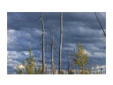 В тундре
Фотограф: vikirin

Просмотров: 1878
Комментариев: 0