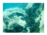 Морские ежики в расщелине
Фотограф: Тимофеев И.В.

Просмотров: 618
Комментариев: 0